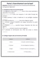anteprima - Schede informative - Identificare gli organi dell’apparato digerente e le loro funzioni - SL - Pagina 1