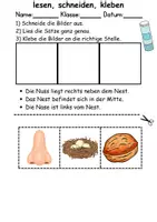 Vorschau - Arbeitsblätter - Buchstabe N Leserätsel - Lesen, schneiden, kleben - DaZ/DaF, Deutsch, Sachunterricht - Seite 1