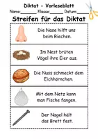 Vorschau - Arbeitsblätter - Materialpaket - Schreiben und Sprache Thema Buchstabe N - DaZ/DaF, Deutsch - Seite 2