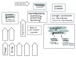 Vorschau - Merkblätter - Legemodell Gedächtnissysteme - Seite 2