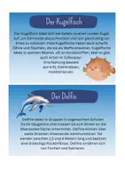 Vorschau - Präsentationen/Tafelbilder - Wissenskarten Unterwasserwelt - Seite 2