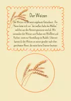 Vorschau - Präsentationen/Tafelbilder - Erntedank - Getreide - Seite 1