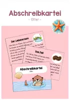 Vorschau - Aufgabenkarten - Abschreibkartei_Otter - Deckblatt