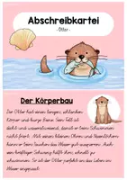 Vorschau - Aufgabenkarten - Abschreibkartei_Otter - Seite 2