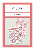 Vorschau - Spiele - Organe - Domino - Seite 1