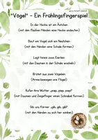 Vorschau - Fördermaterial/Inklusion - Fingerspiel „Vögel“ inkl. 7 Wortschatzkarten – Kindergarten, Grundschule und DaZ 🪺🐣🐦 - Seite 1