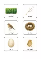 Vorschau - Fördermaterial/Inklusion - Fingerspiel „Vögel“ inkl. 7 Wortschatzkarten – Kindergarten, Grundschule und DaZ 🪺🐣🐦 - Seite 2