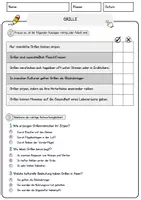 Vorschau - Arbeitsblätter - Grille Arbeitsblätter mit Fragen + Lösungen Tiere AB - Seite 2