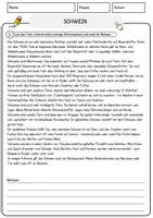 Vorschau - Arbeitsblätter - Schwein (1) Arbeitsblätter mit Fragen + Lösungen Tiere AB - Seite 1