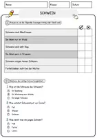 Vorschau - Arbeitsblätter - Schwein (1) Arbeitsblätter mit Fragen + Lösungen Tiere AB - Seite 2