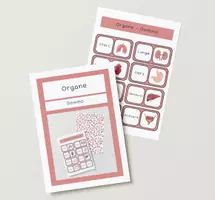 Vorschau - Spiele - Organe - Domino - Deckblatt