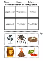 Vorschau - Lehrpläne/Lehrermaterial - Bilder an die richtige Stelle kleben Thema Buchstabe V - DaZ/DaF, Deutsch (Wortschatz) - Seite 2