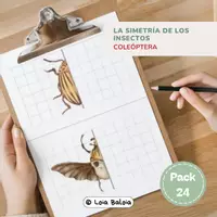 Vista previa - Hojas de trabajo - COMPLETA LA SIMETRÍA - COLEÓPTEROS. - Portada