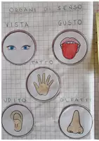 anteprima - Esercizi - Scienze in prima: gli organi di senso - Pagina 3