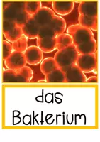 Vorschau - Arbeitsblätter - Lesekonferenz Kl. 4/6 "Unterschied Viren und Bakterien" - Seite 2