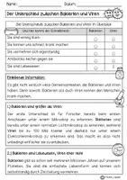Vorschau - Arbeitsblätter - Lesekonferenz Kl. 4/6 "Unterschied Viren und Bakterien" - Seite 3