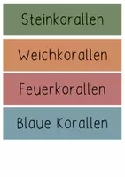 Vorschau - Spiele - Materialpaket „Unterwasser“ - Seite 1