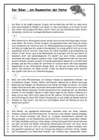 Vorschau - Stundenentwürfe - Der Biber - Sachtext - Informationstext - Leseverständnis - Textarbeit - Seite 1