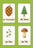 Vorschau - Spiele - Zählkreise zum Thema Wald (ZR bis 6) - Seite 2