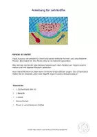 Vorschau - Mal- und Bastelvorlagen - Kunst Grundschule, Male eine Wassermelone wie Yayoi Kusama, Künstler - Seite 3
