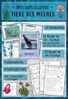 Vorschau - Arbeitsblätter - Wissenskartei Tiere des Meeres + Arbeitsblatt + Arbeitsheftchen + Tafelbilder - Deckblatt