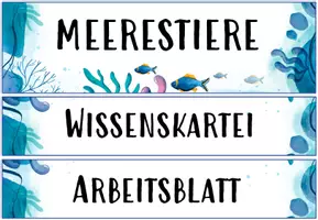 Vorschau - Arbeitsblätter - Wissenskartei Tiere des Meeres + Arbeitsblatt + Arbeitsheftchen + Tafelbilder - Seite 2