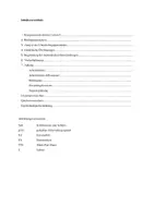 Vorschau - Stundenentwürfe - Imperialismus & Erster Weltkrieg – Die Julikrise 1914 (Prüfungsstunde + Sequenzplanung) - Seite 2