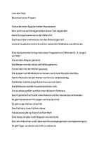 Vorschau - Fördermaterial/Inklusion - Sachtext Katze leichte Sprache - Deckblatt