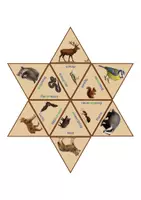 Vorschau - Spiele - Legestern Waldtiere, 2-fach differenziert - Seite 3