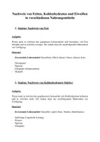 Vorschau - Stationenlernen - Nachweis der Nährstoffe in Nahrungsmitteln (Stationenarbeit mit Experimenten) - Deckblatt