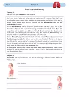 Vorschau - Arbeitsblätter - Brust- und Bauchatmung - Deckblatt