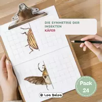 Vorschau - Arbeitsblätter - Die Symmetrie der Insekten – Käfer. - Deckblatt