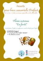 Aperçu - Apprentissages en autonomie - 2 Inserts bac trofast – Thème Automne “En forêt” activité sensorielle - Page de couverture