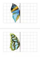 Aperçu - Feuilles d'exercices - "La symétrie des insectes" -Papillons (Lépidoptères). - Page 3