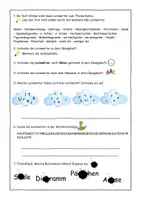 Vorschau - Arbeitsblätter - Abschreib- und Lernwörtertraining (Daten- und Diagramme) - Seite 2