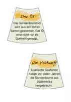 Vorschau - Fördermaterial/Inklusion - Legekreis Sonnenblume - Seite 3