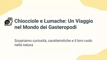 anteprima - Schede informative - Raccolta di materiali "Scienze": animali, classificazione e osservazione diretta - Pagina 1