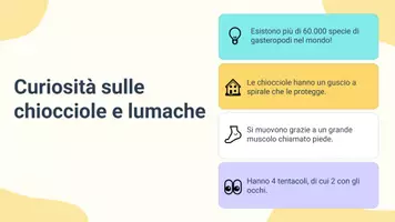 anteprima - Schede informative - Raccolta di materiali "Scienze": animali, classificazione e osservazione diretta - Pagina 3