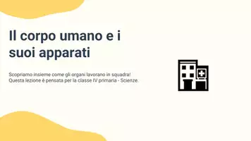 anteprima - Presentazioni / Lavagne - Collegare ogni organo al rispettivo apparato - Pagina 2