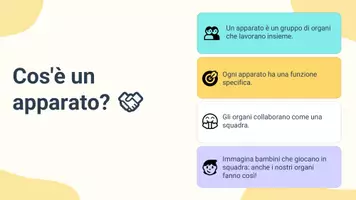 anteprima - Presentazioni / Lavagne - Collegare ogni organo al rispettivo apparato - Pagina 3