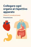 anteprima - Presentazioni / Lavagne - Collegare ogni organo al rispettivo apparato - Pagina di copertina