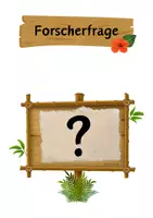 Vorschau - Experimente - Forscherkreislauf / NuT / Biologie / Urwald - Seite 2