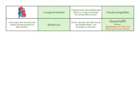 Vorschau - Spiele - Herz und Kreislauf Domino - Biomino - Seite 3