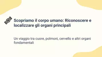 anteprima - Materiale interattivo - Raccolta di materiali "Scienze": apparati e organi principali - Pagina 1