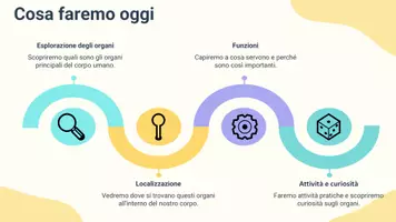 anteprima - Materiale interattivo - Raccolta di materiali "Scienze": apparati e organi principali - Pagina 3