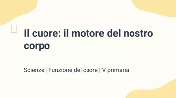 anteprima - Presentazioni / Lavagne - Distinguere la funzione del cuore - Pagina 1