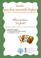 Aperçu - Apprentissages en autonomie - 8 inserts trofast - thème automne en forêt - Page de couverture