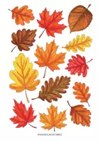 anteprima - Clipart / Immagini originali - IMMAGINI AUTUNNO DA COLORARE 🍂🌰 - Pagina 1