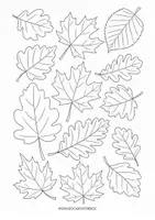 anteprima - Clipart / Immagini originali - IMMAGINI AUTUNNO DA COLORARE 🍂🌰 - Pagina 2