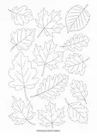 anteprima - Clipart / Immagini originali - IMMAGINI AUTUNNO DA COLORARE 🍂🌰 - Pagina 3